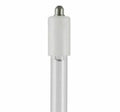 Replacement Bulb 32W U2977