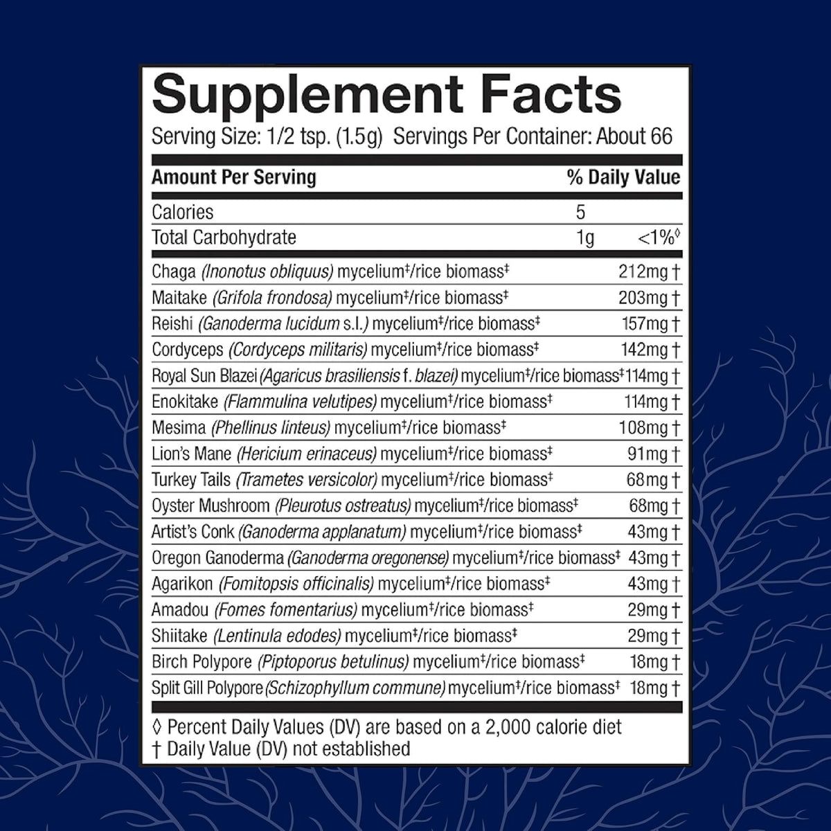 17 Species Blend Mushroom Supplement Powder, 100g (66 Servings) L2745