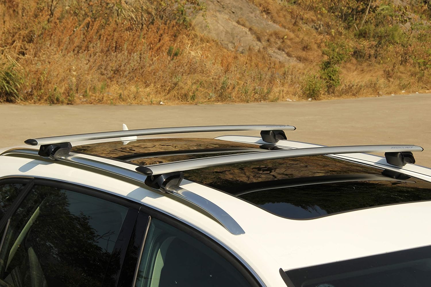 Roof Rack Cross Bars V819853