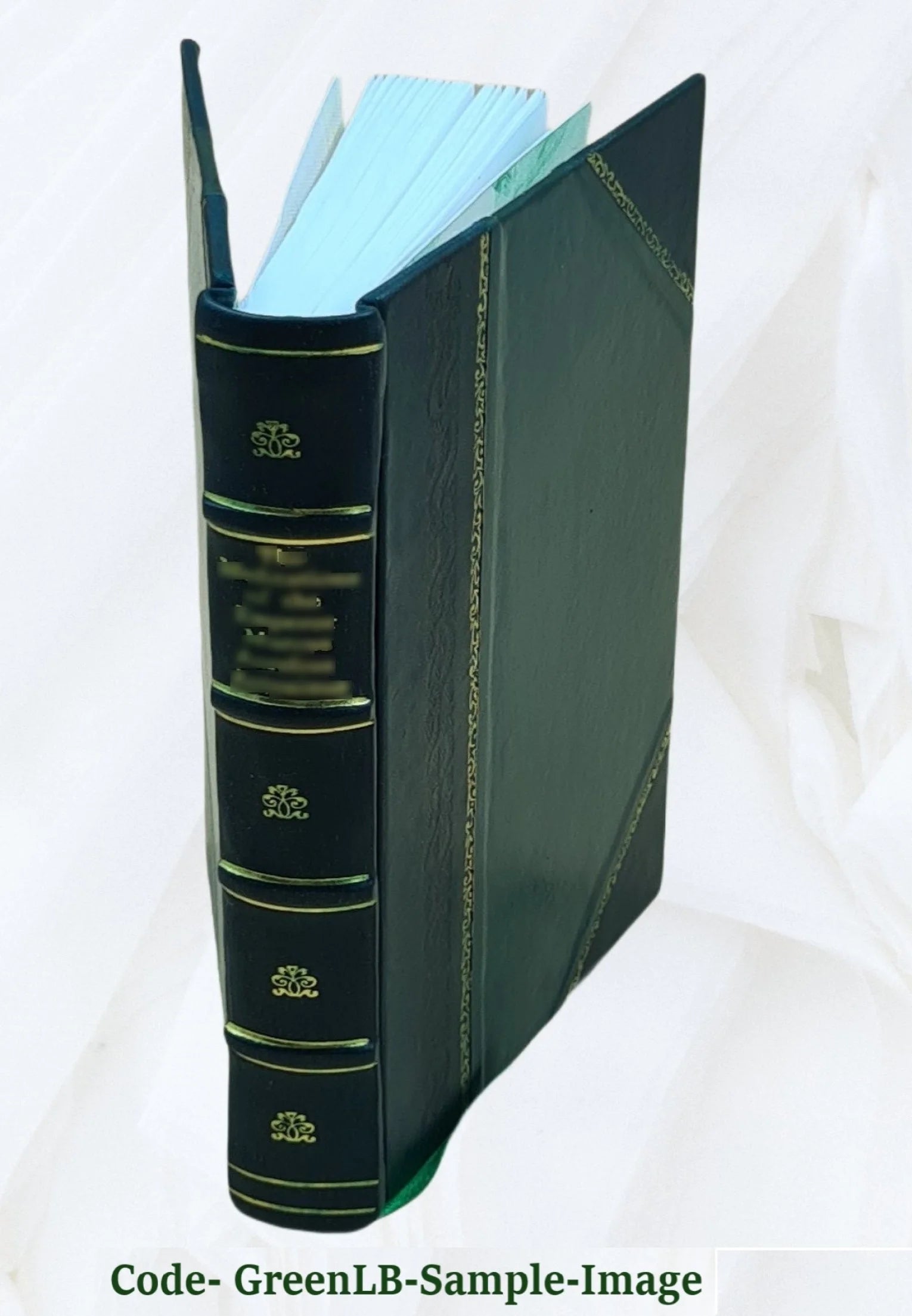 Leather Bound Book H18088