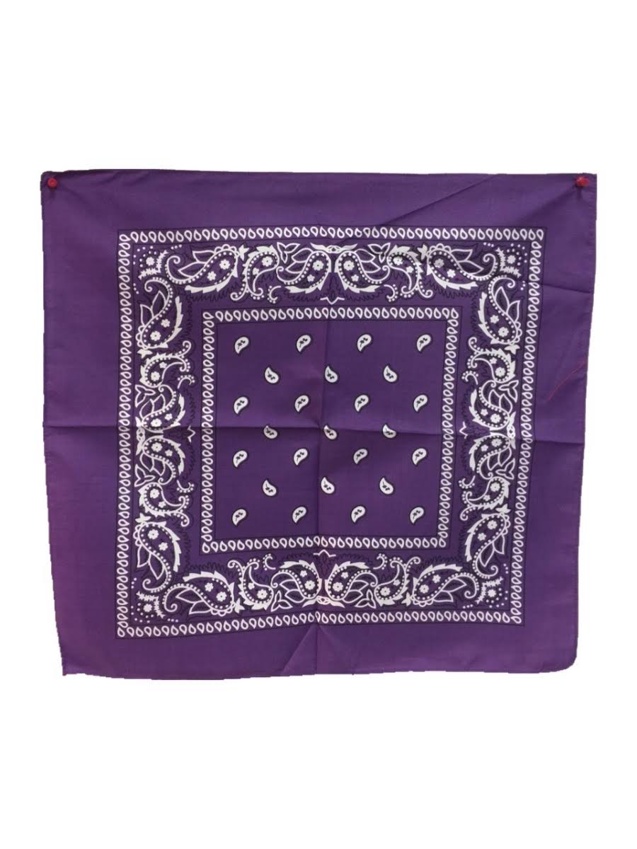 Purple Paisley Cotton Bandana - Case of 36 J300