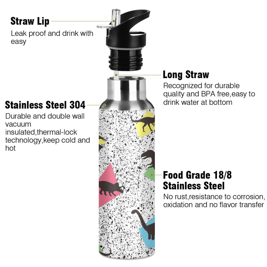 Stainless Steel Insulated Water Bottle with Straw Lid Z574