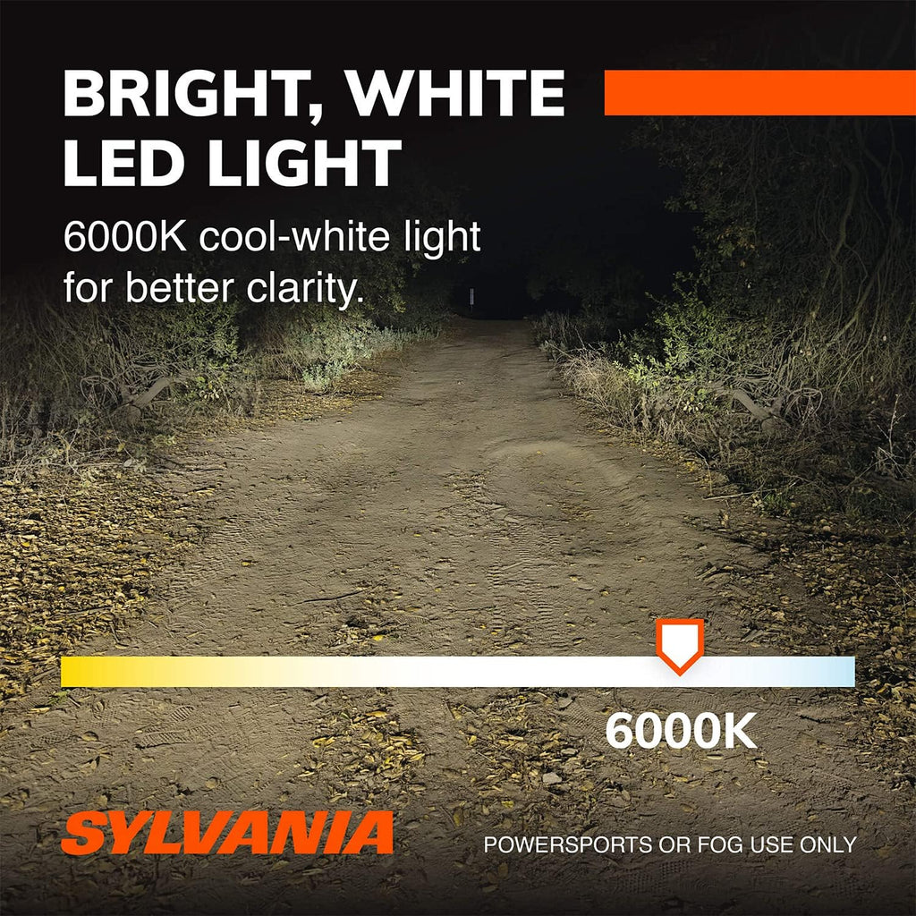 H13 6000K LED Headlight Replacement Bulbs, Cool White (2 Pack) P949