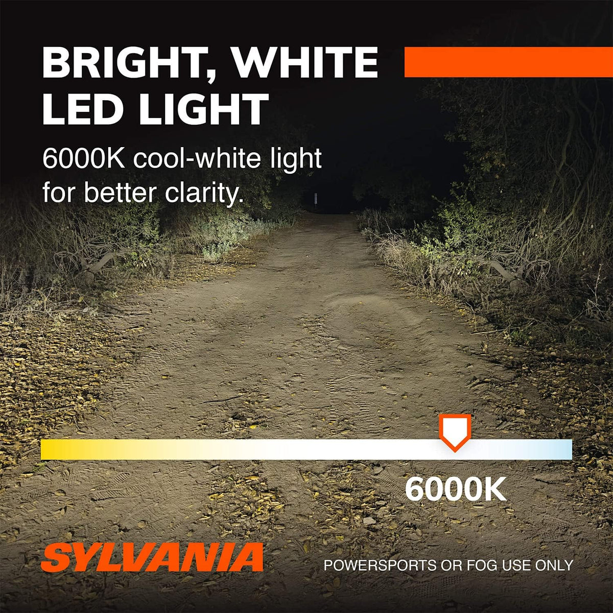 H13 6000K LED Headlight Replacement Bulbs, Cool White (2 Pack) P949