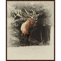 Black Forest Framed Canvas H797986