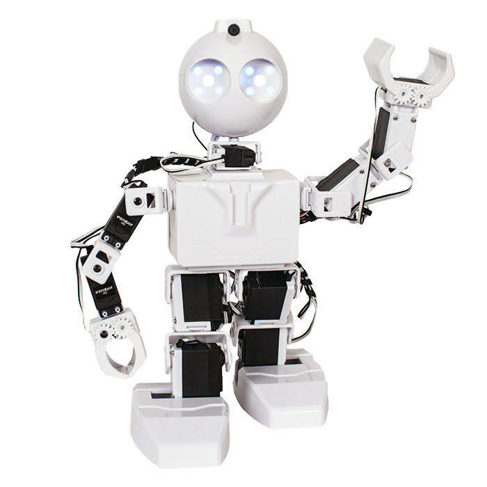 Humanoid Robot P261