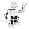 Humanoid Robot P261