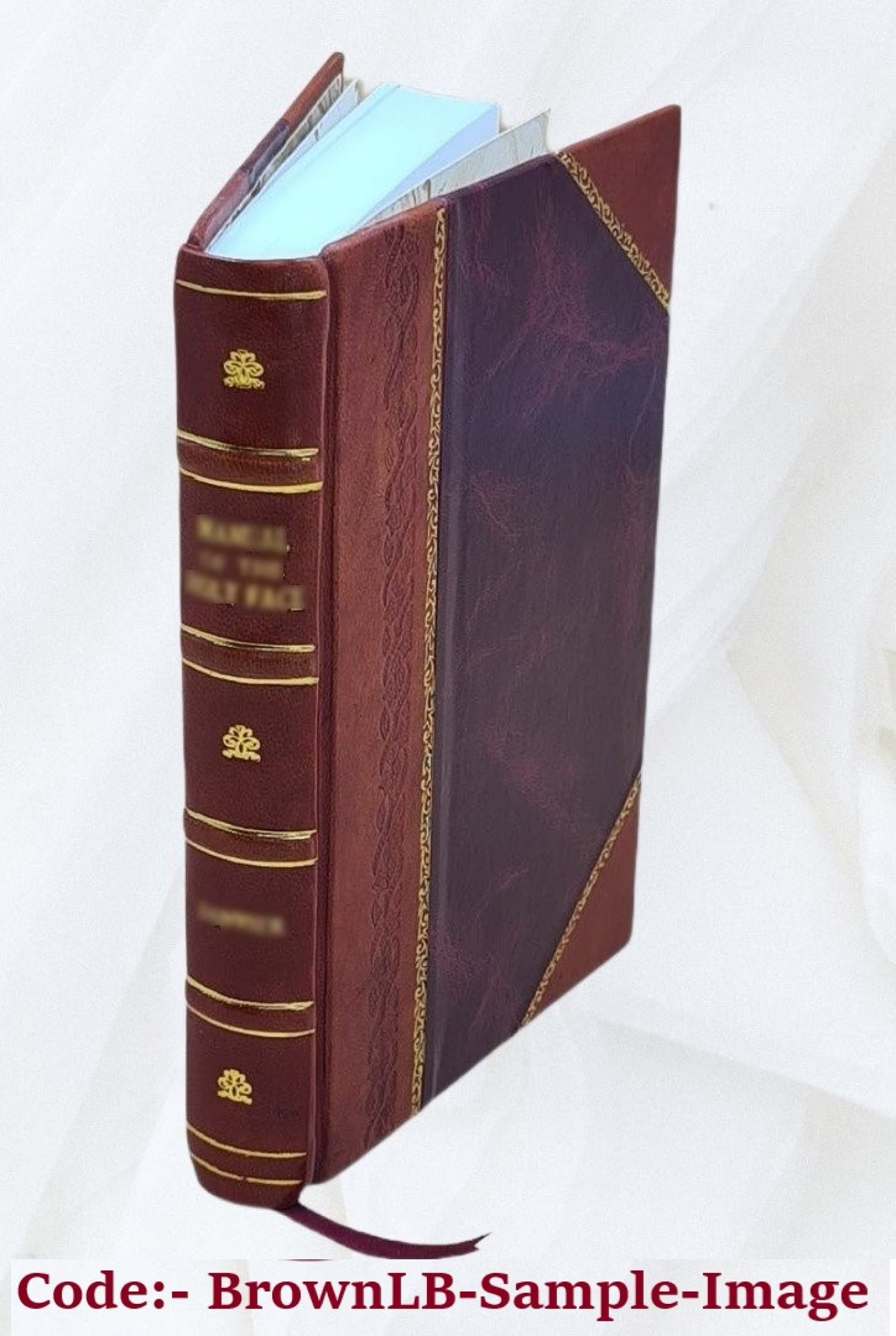 Leather Bound Book H18088