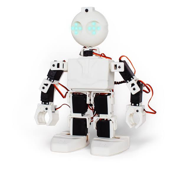 Humanoid Robot P261