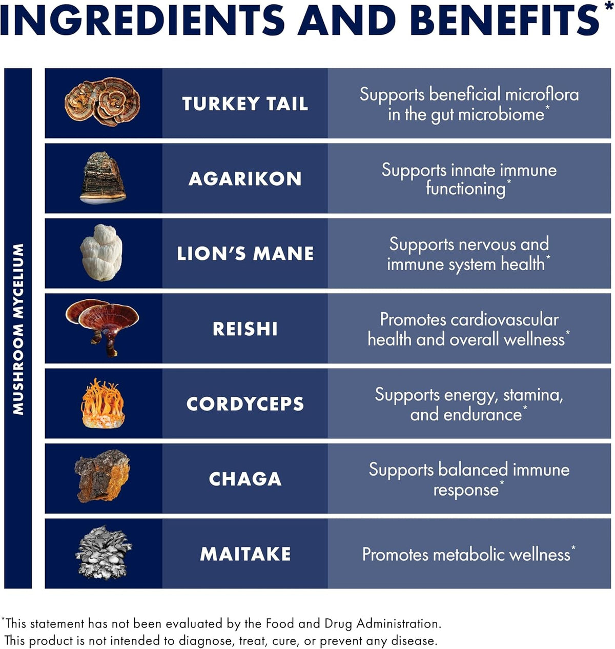 17 Species Blend Mushroom Supplement Powder, 100g (66 Servings) L2745