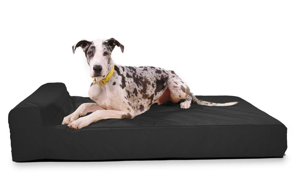 Black X-Large Orthopedic Dog Bed D7094