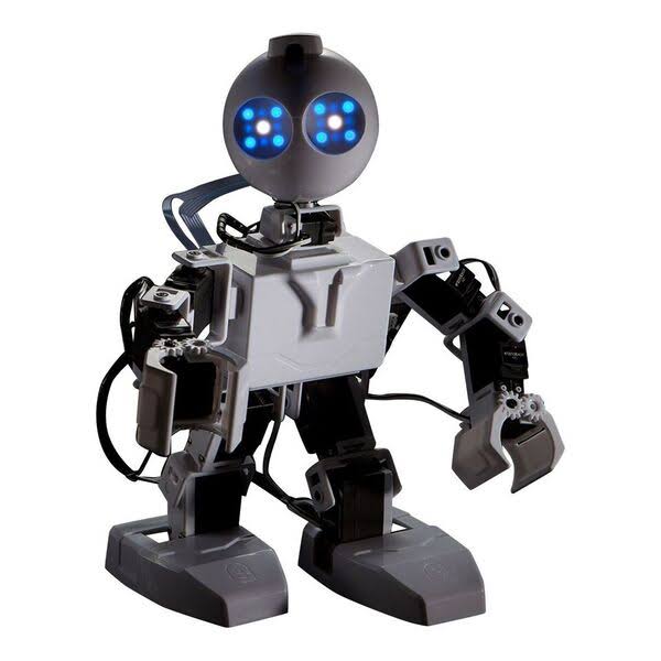 Humanoid Robot P261