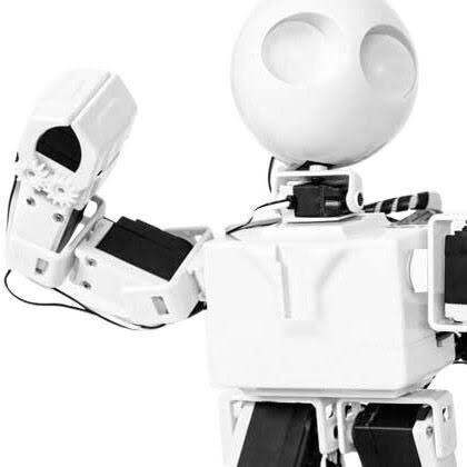 Humanoid Robot P261