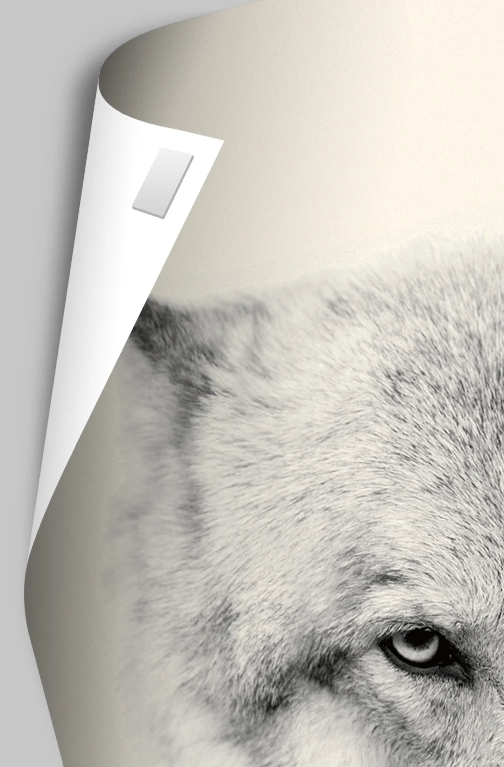 22.375" x 34" Wall Poster W4943