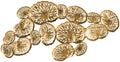 Gold Coral Plate Wall Decor U5535