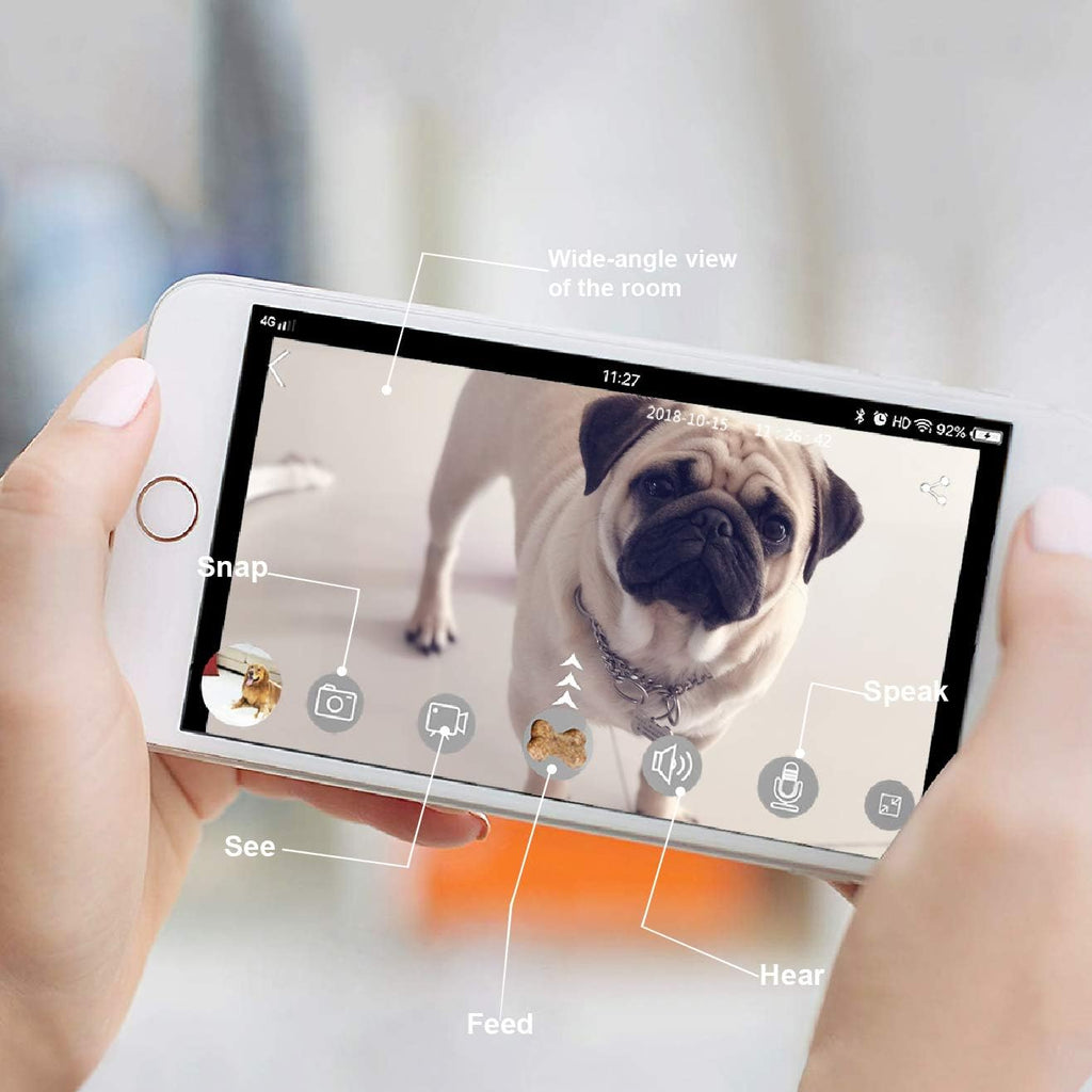 Dog Camera Treat Dispenser with Two-Way Audio and Night Vision R34835