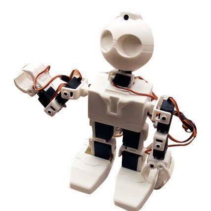 Humanoid Robot P261