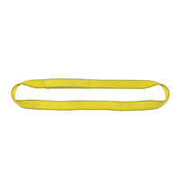 2 Ply 2x22 x 15& Endless Polyester Web Sling S96271