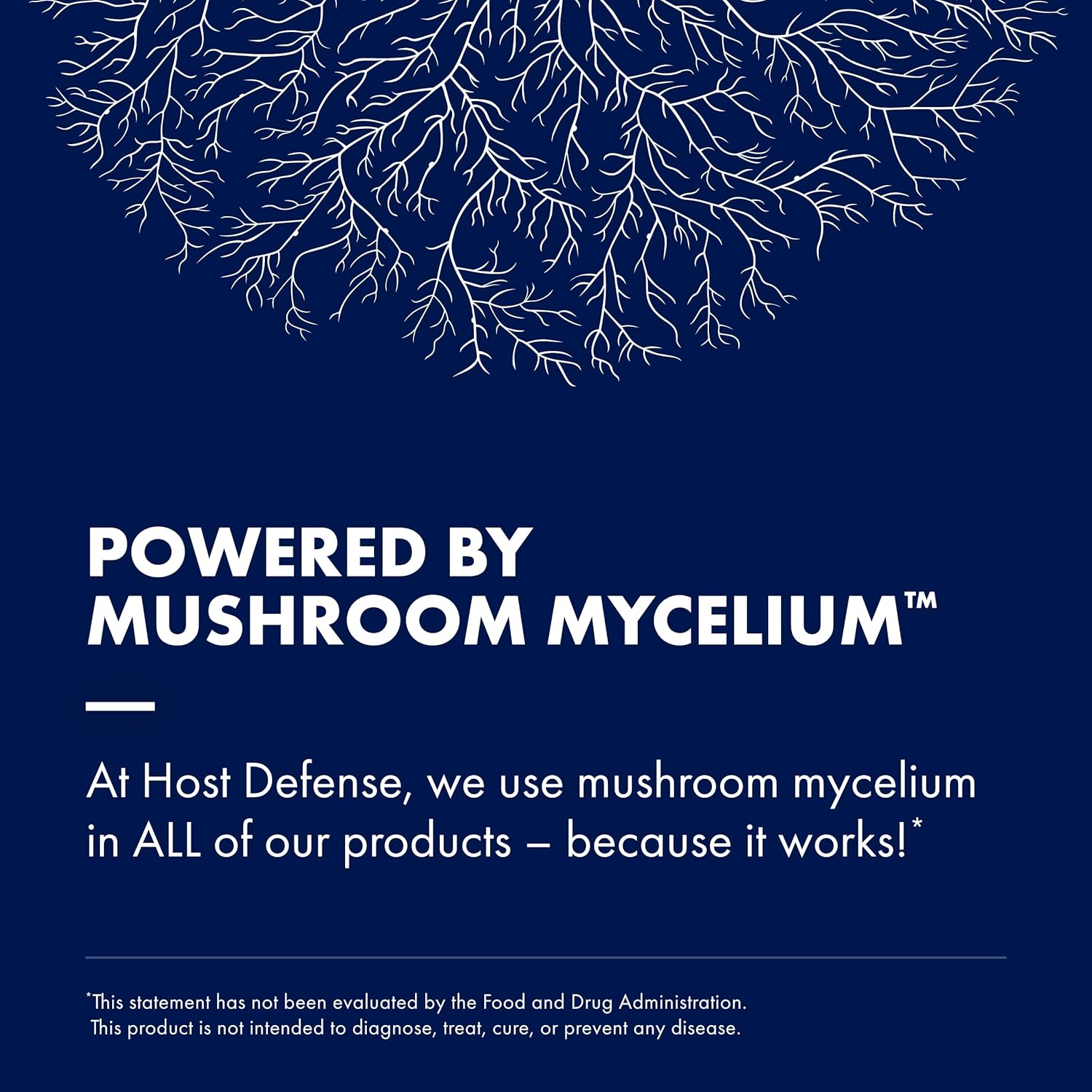 17 Species Blend Mushroom Supplement Powder, 100g (66 Servings) L2745