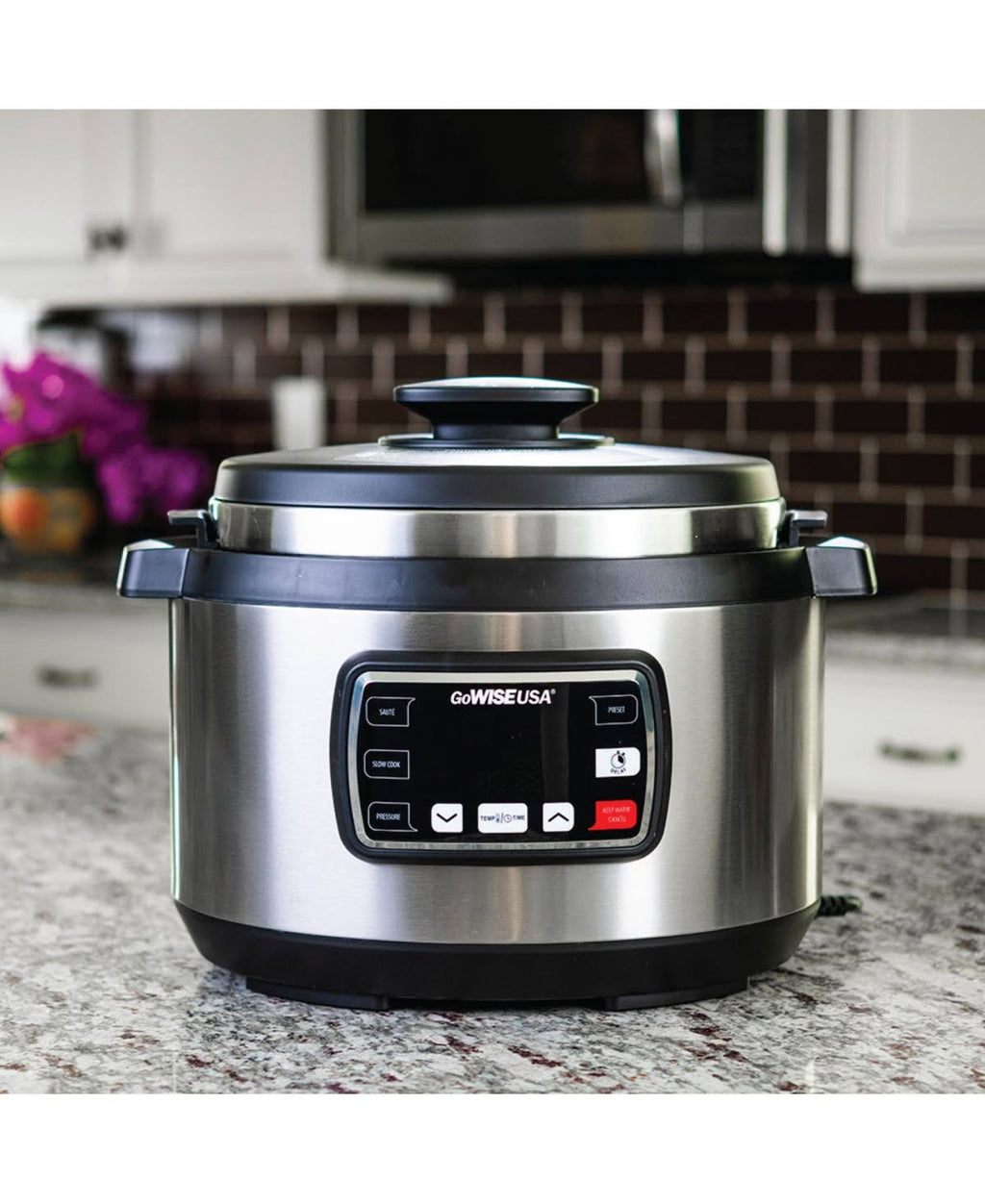 Oval Electric Pressure Cooker C240037