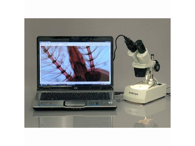 10X-20X-30X-60X Stereo Microscope with 2-Lights and 1.3MP USB Camera P21712