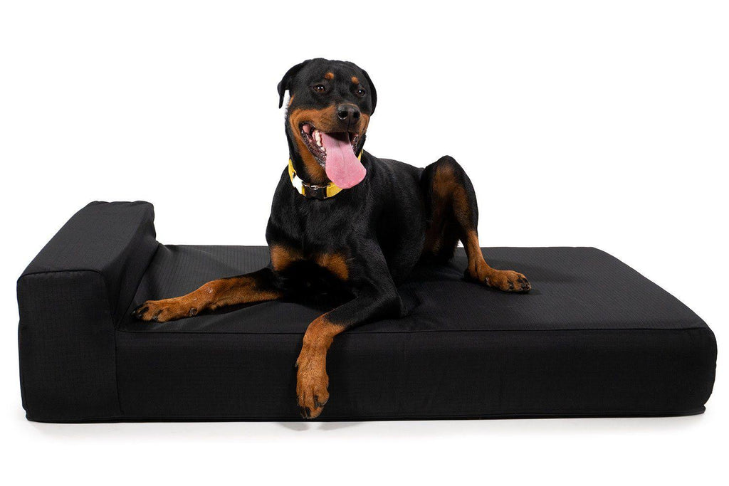 Black X-Large Orthopedic Dog Bed D7094