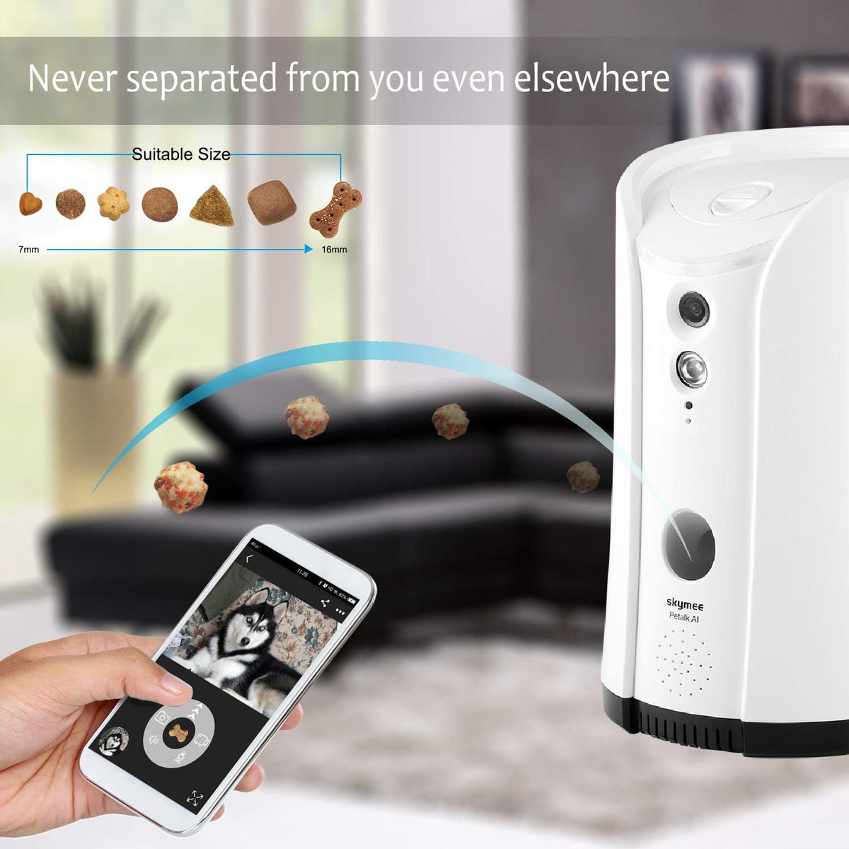 Dog Camera Treat Dispenser with Two-Way Audio and Night Vision R34835
