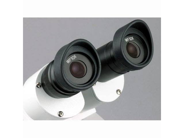 10X-20X-30X-60X Stereo Microscope with 2-Lights and 1.3MP USB Camera P21712
