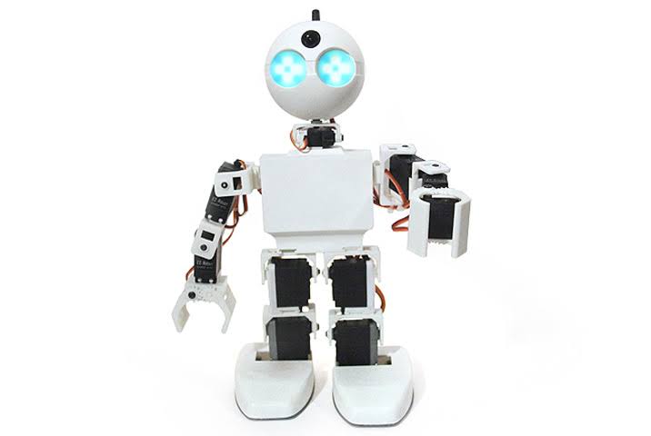 Humanoid Robot P261