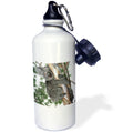 Straw Water Bottle, 21-ounce F7669