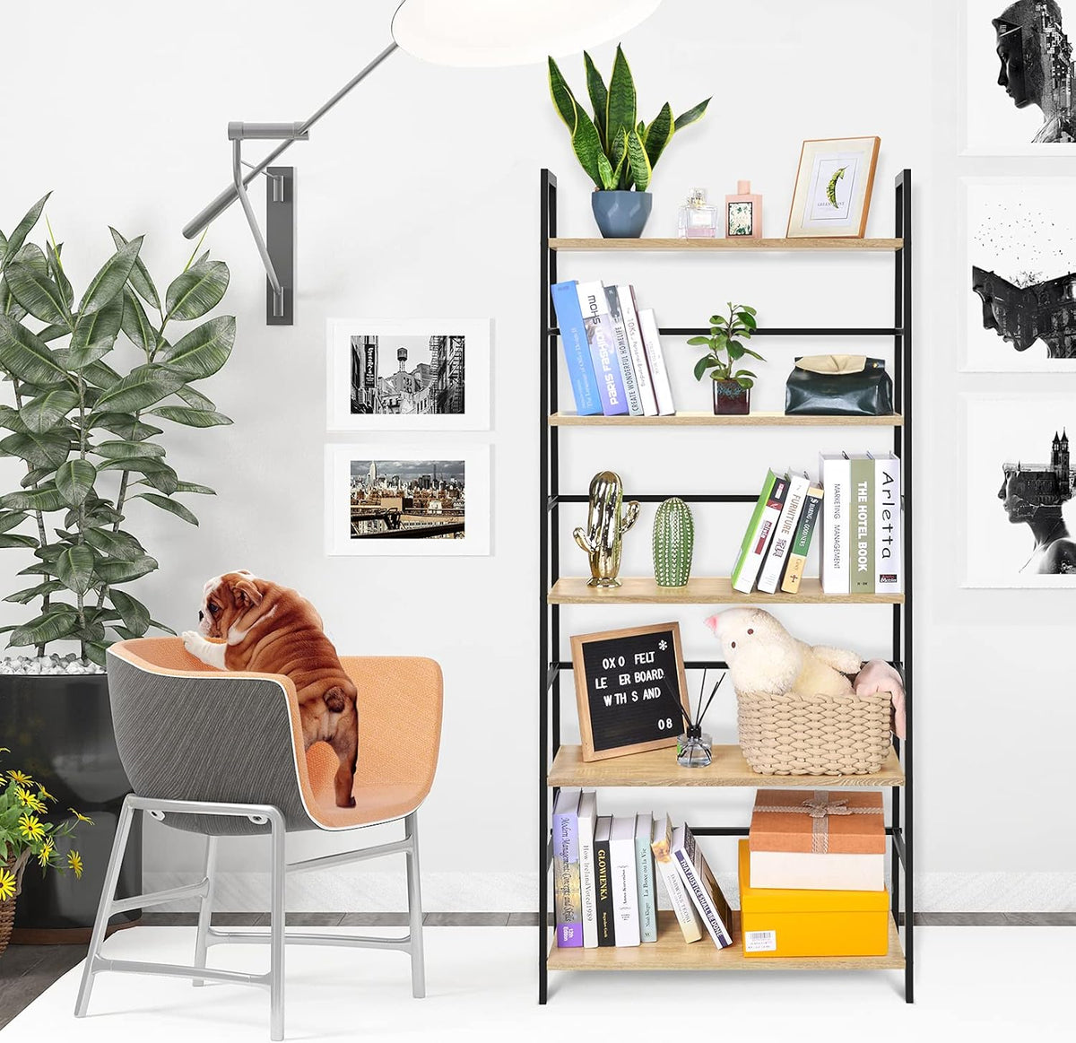 5-Tier Industrial Bookshelf with Metal Frame Y614167