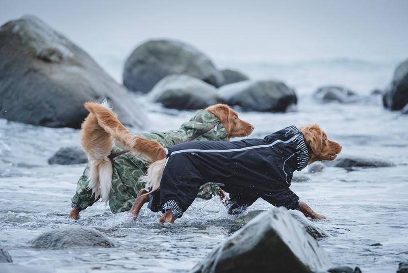 Green Camo Downpour Dog Suit E71709