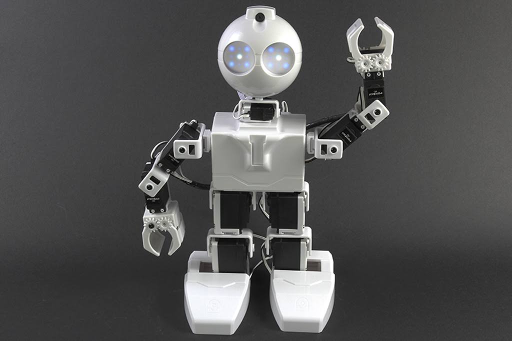 Humanoid Robot P261