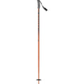 Ski Pole P671626